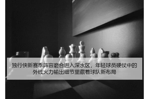 独行侠新赛季阵容磨合进入深水区，年轻球员硬仗中的外线火力输出细节里藏着球队新布局